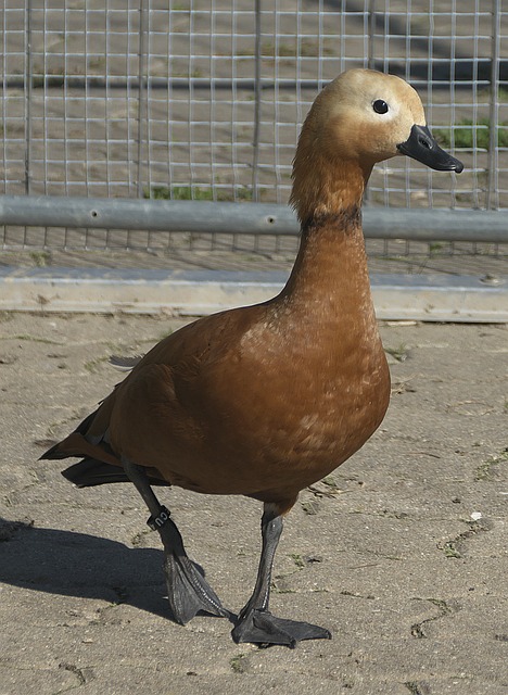 终走向